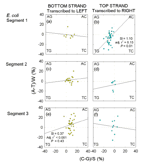 Chi sequences in leftward and rightward transcribed genes. Quadrant analysis