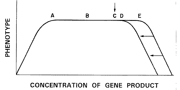 darw25.gif (4346 bytes)