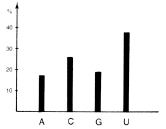 Frequencies of bases at third positions of quartet codons