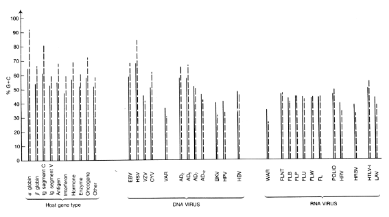 Base composition [C+G)%] of human and viral genes