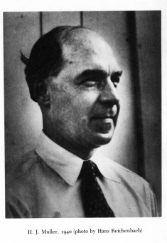 Herman J. Muller (1890-1967). Photographed in 1940 by Hans Reichenbach. 