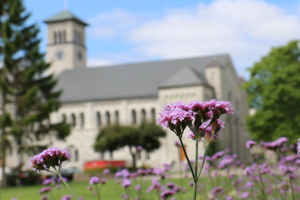 Purple flowers in front of Grant Hall