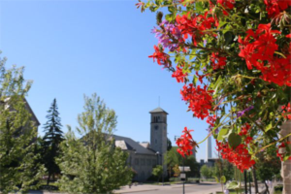 Red flowers in a hanging basket on campus. Grant Hall visible in the background.