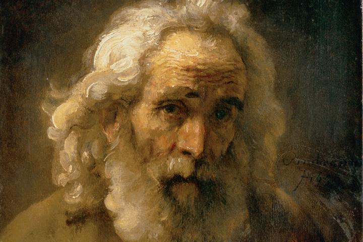 Rembrandt Head OF An Old Man With Curly Hair