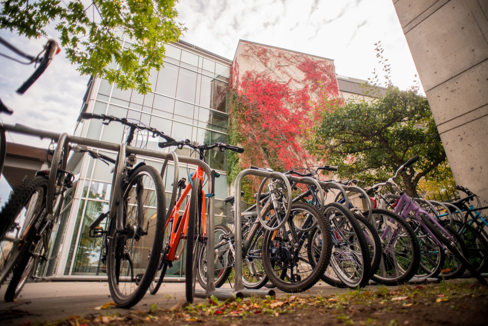 Image - bikes on Queen's campus. Image courtesy of the Queen's Image Bank