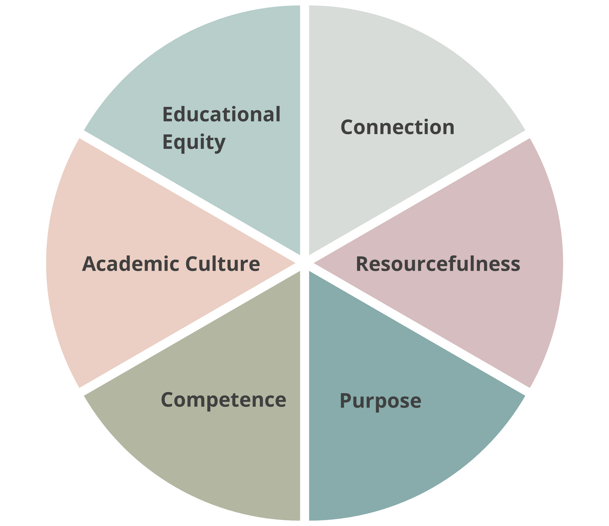 pie chart with 6 sections: Connection, Resourcefulness, Purpose, Competence, Academic Culture, and Educational Equity