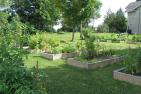 [The Queen’s community garden (Photo: Queen’s Sustainability)]