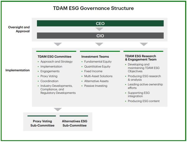 TDAM ESG Governance Structure