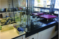 Clean Lab equipment and laboratory 