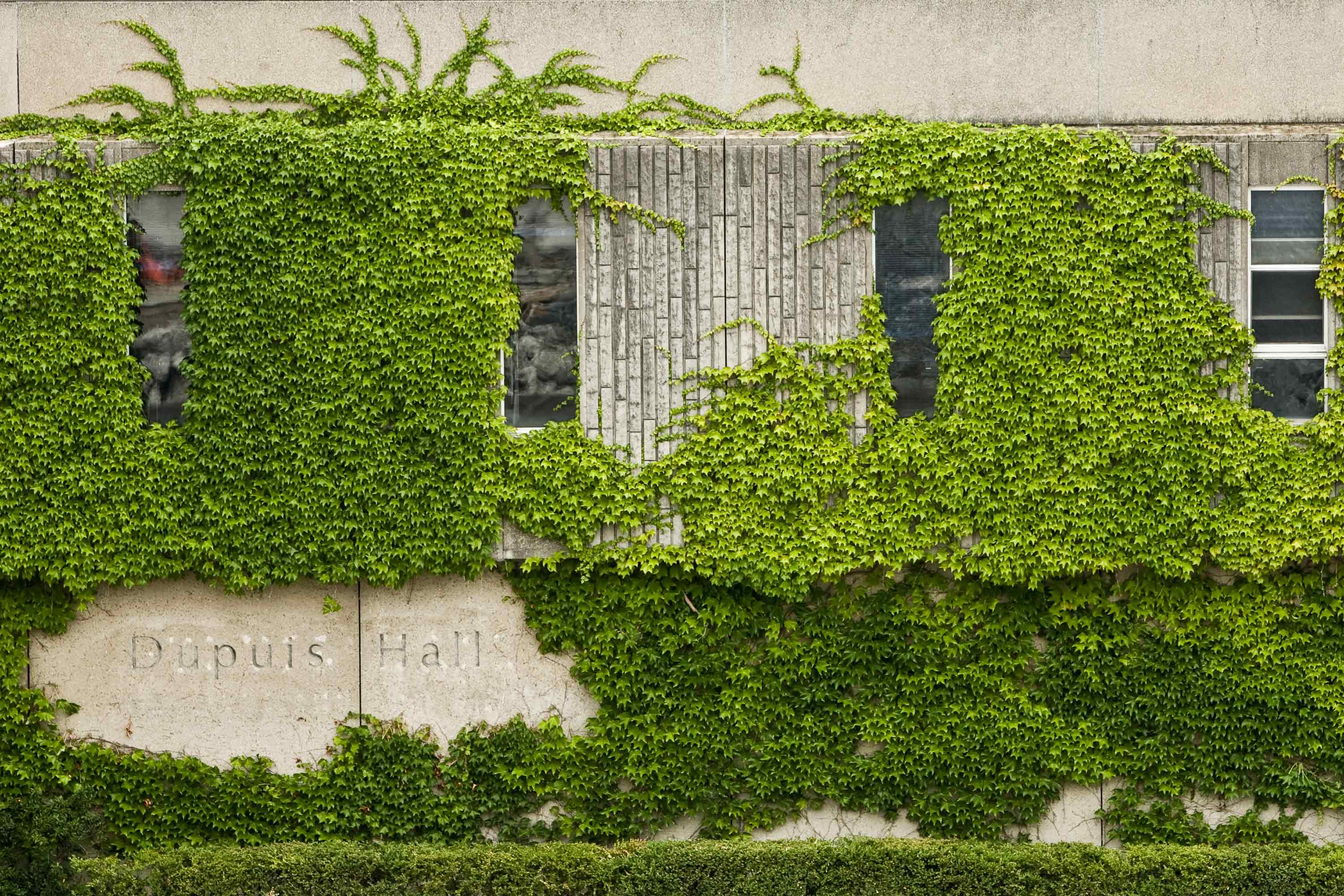 Outside wall of Dupuis Hall covered in vines
