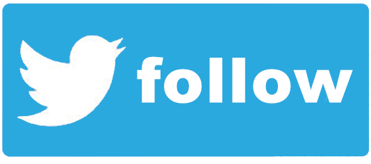 Blue Twitter follow button containing the Twitter logo and the word follow.