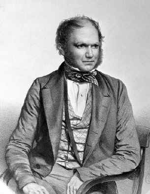 Charles Darwin (1809-1882) Lithograph by T. H. Maguire 1849. With permission of Rachael Johnson, Wellcome Library, London (image L003785)