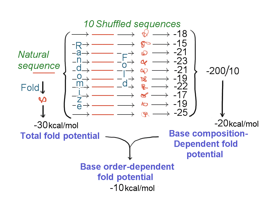 FORS-D Analysis