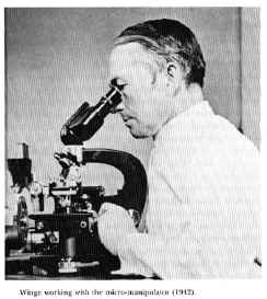 Winge194.jpg (56872 bytes)