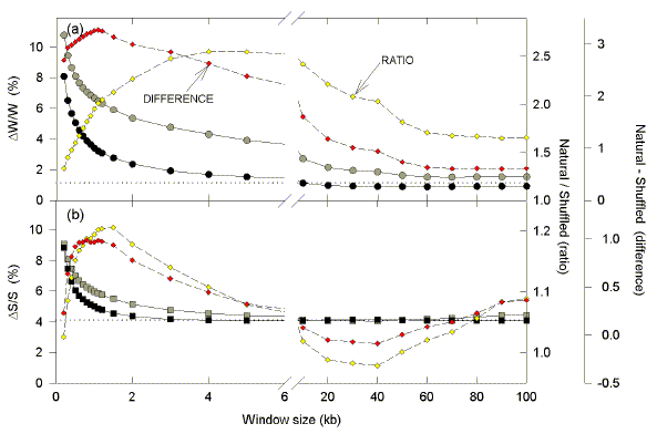 Comparison of natural and shuffled sequences to determine most informative window size.
