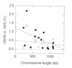 account6.gif (91515 bytes)