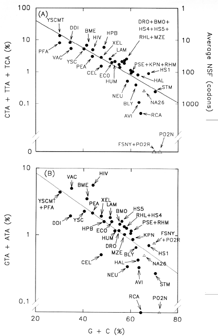 antise2b.tif (143316 bytes)
