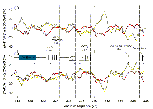 bithor01.tif (2107122 bytes)