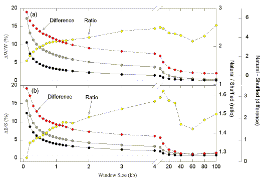 bithor02.tif (2107122 bytes)