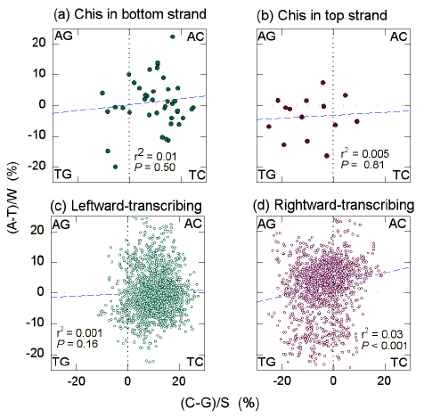 Quadrant analysis of Chargaff differences in H. influenzae.
