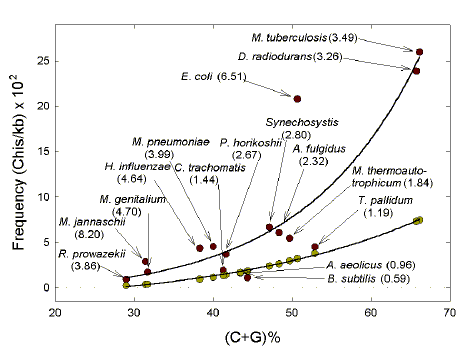 Frequency of Chi sequences in various bacterial genomes