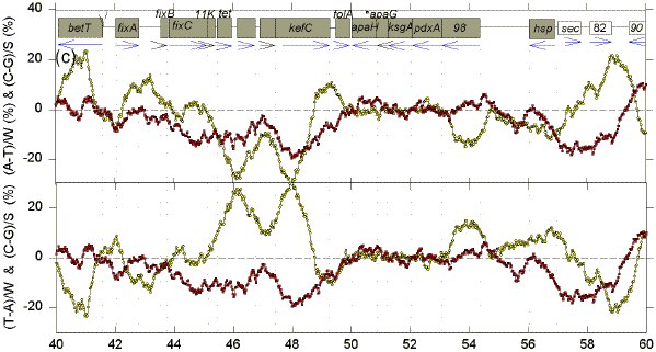 deviat1c.tif (2107122 bytes)
