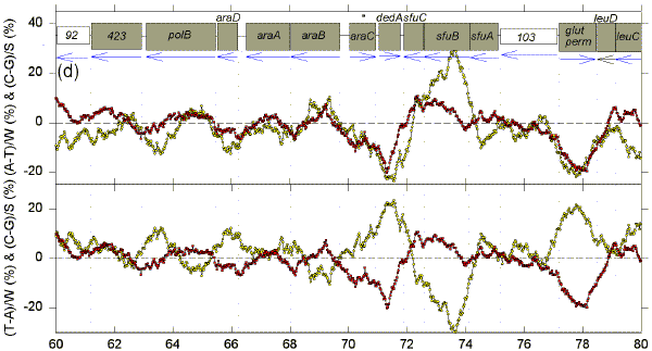 deviat1d.tif (2107122 bytes)