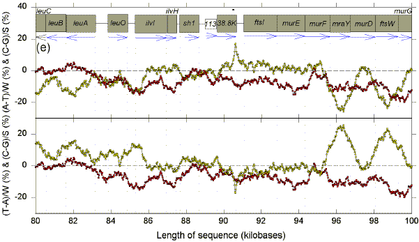 Chargaff differences in 5 segments of E. coli