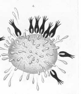 ehrlich4.gif (785294 bytes)