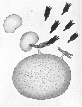 ehrlich8.gif (1183288 bytes)