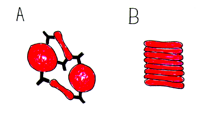 entrop07.gif (42423 bytes)