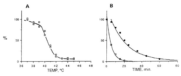 entrop09.gif (16037 bytes)