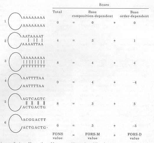 fors98b1.gif (157217 bytes)