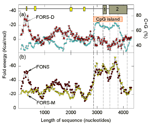 fors98b3.gif (238258 bytes)