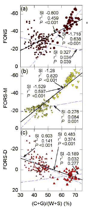 fors98b4.gif (733646 bytes)