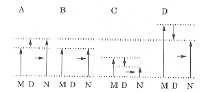 fors98b8.gif (5120 bytes)