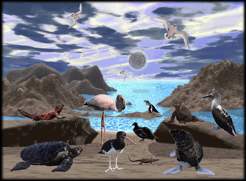 galapagos island fantasy