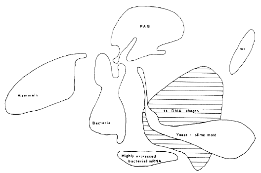 Correspondence analysis of codon choices by different groups of species