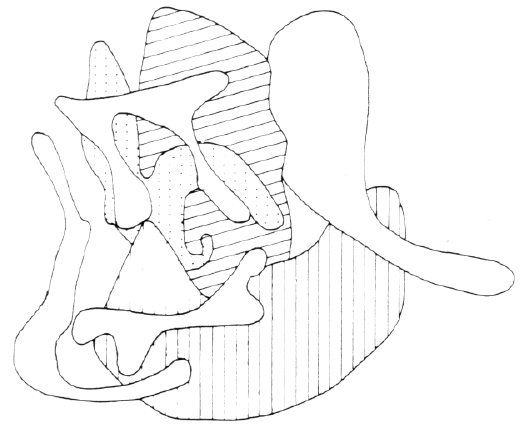 Correspondence analysis of amino acid frequencies