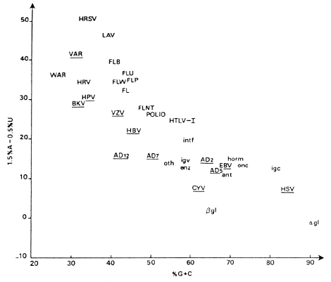 Base composition of human and viral genes