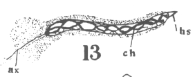 Figure 13