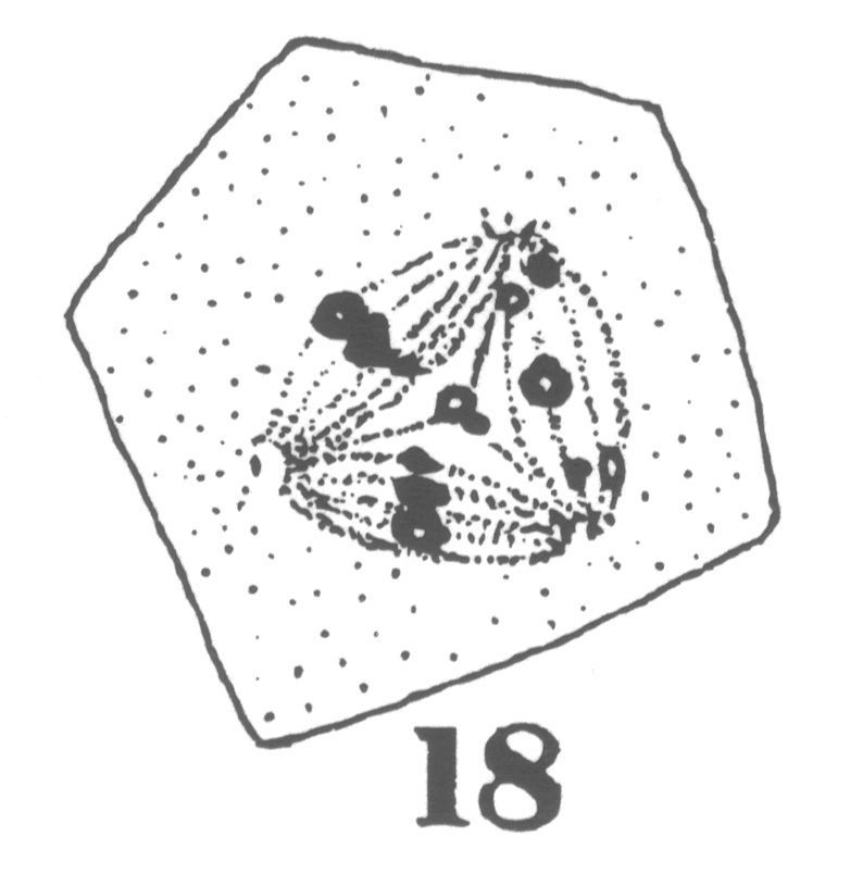 Figure 18