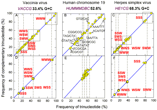 hierar01.tif (7633290 bytes)