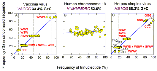 hierar02.tif (7633290 bytes)