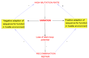 hivfig12.tif (1909614 bytes)