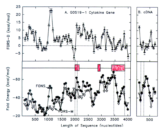 Secondary structure values for the G0S19 (MIP1alpha) gene