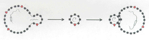 mhc001.gif (232943 bytes)