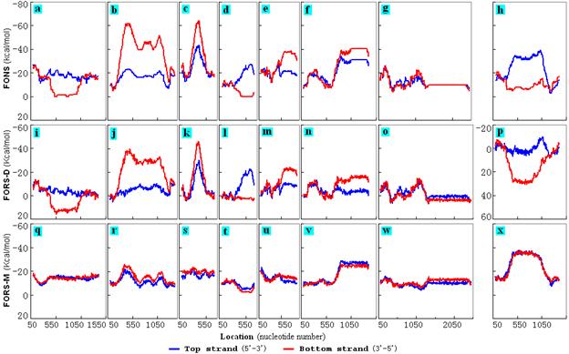C elegans Chrom 1 strand asymmetry internally
