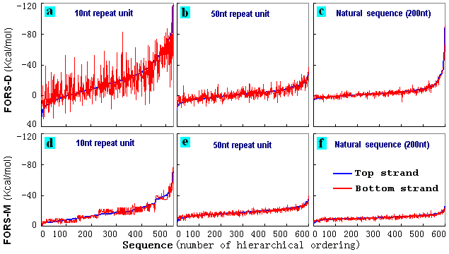 bottom versus top strands