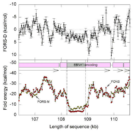 pli005.TIF (5865958 bytes)